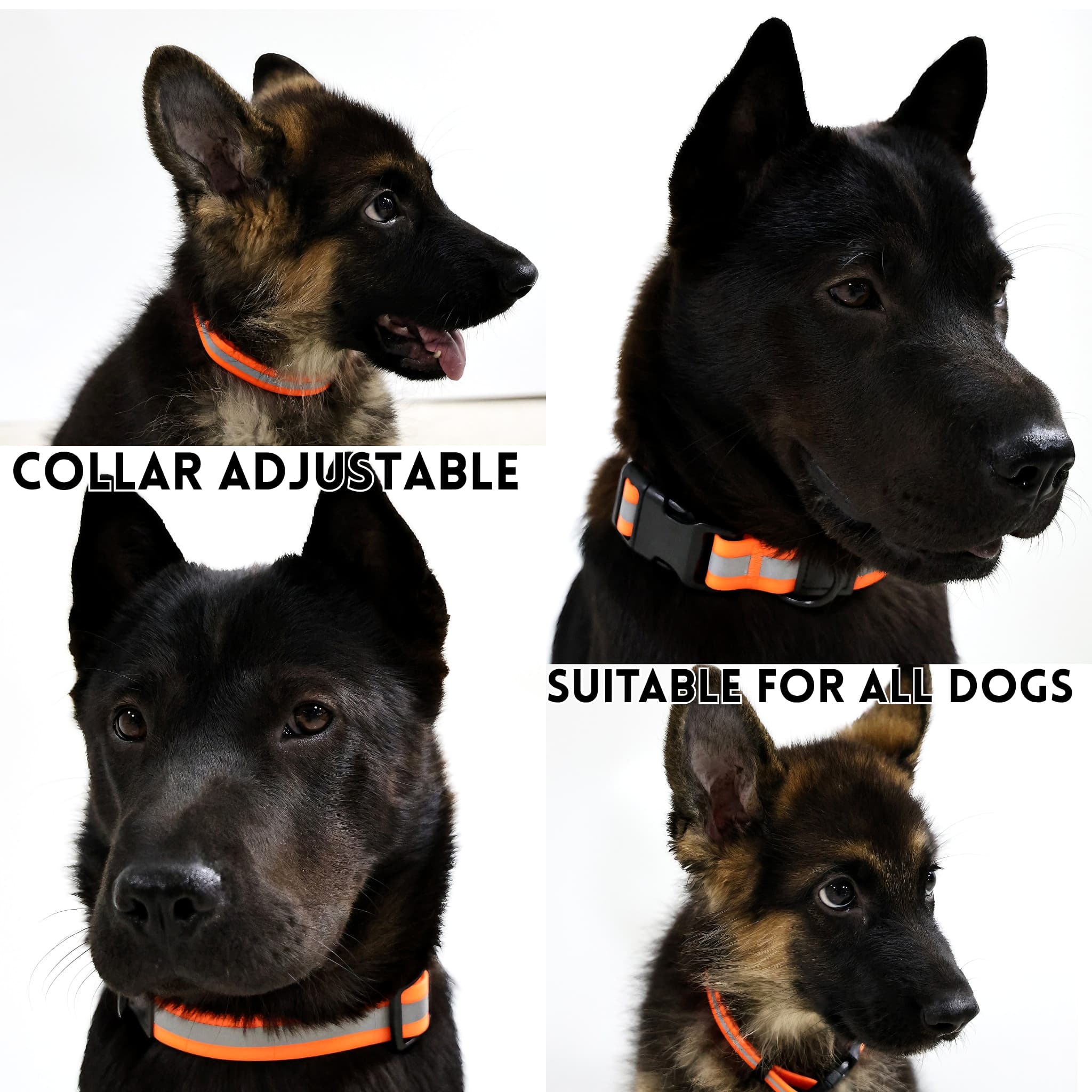 Reflective PVC Dog Leash Set