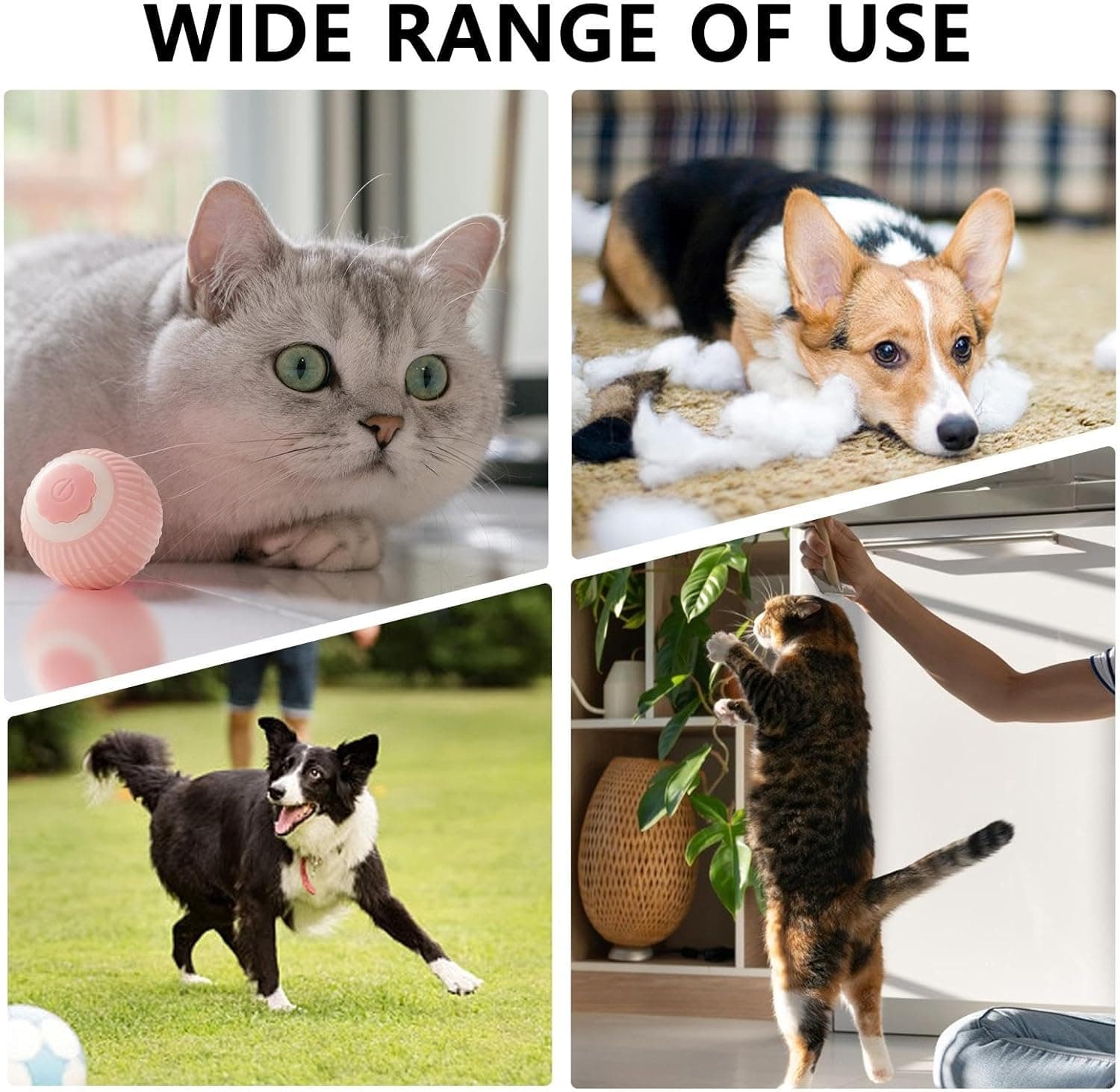 Motion-Activated Rolling Ball Pet Toy